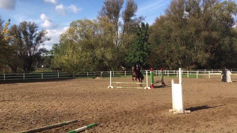 @Końska Grupa🐎