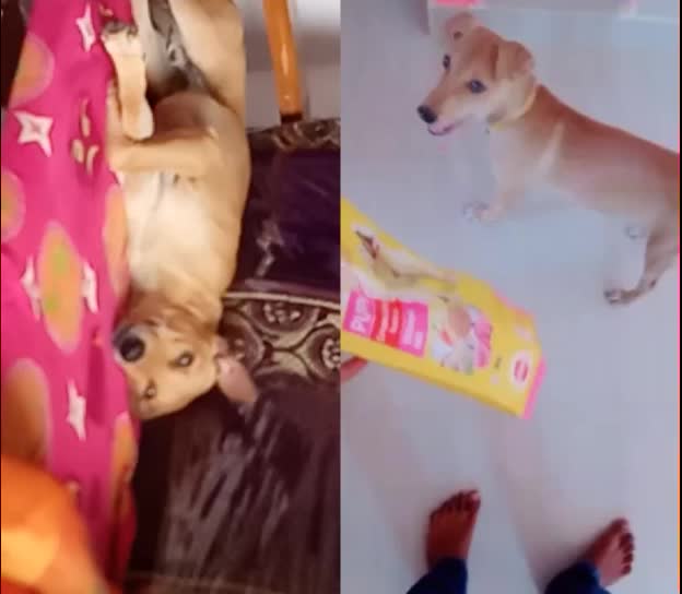 @RamaRaju
