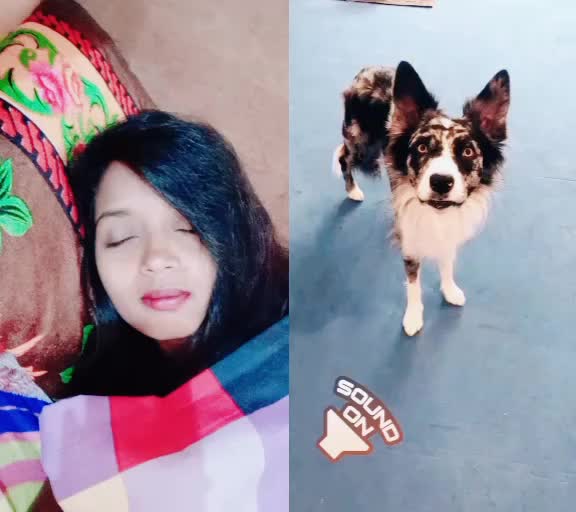 @jadhavpratiksha.wai