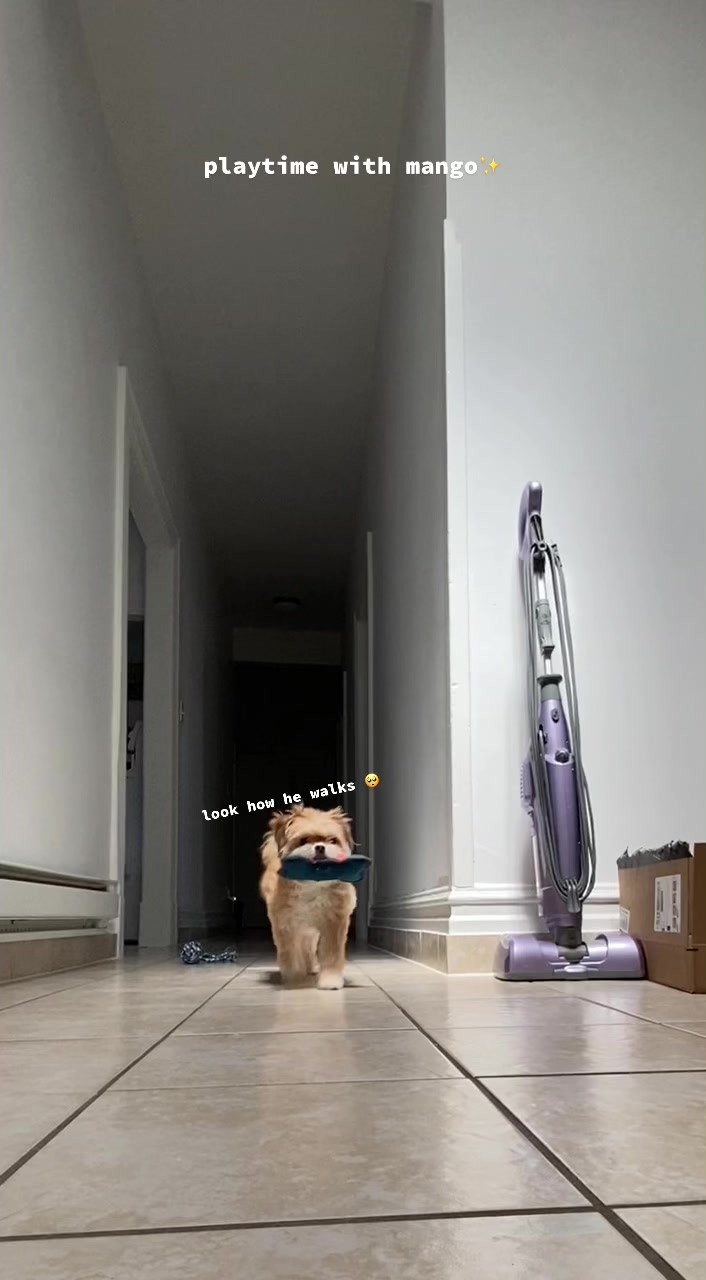 @Mina