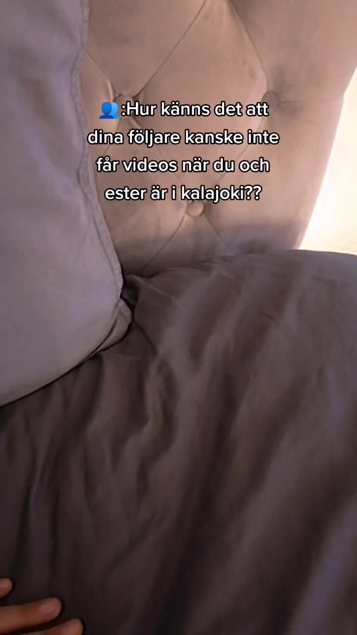 @Cockerspanielester