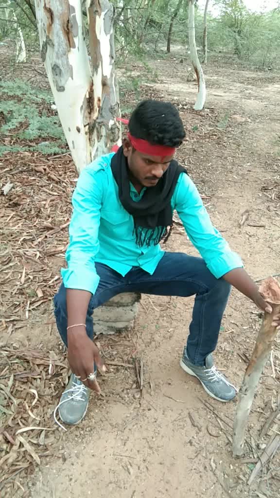 @Palavalli Ramesh