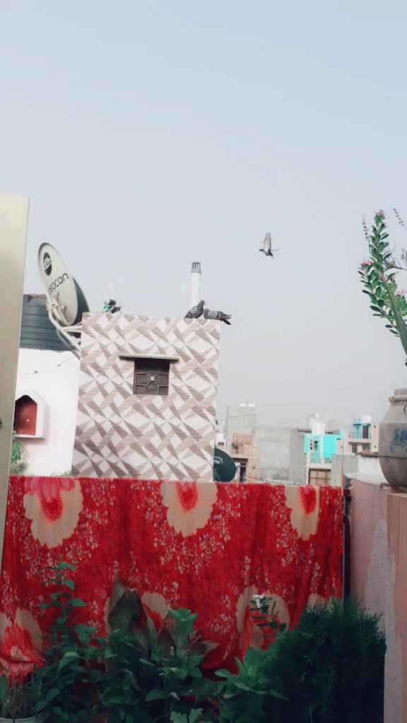 @pooja sah