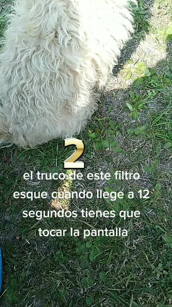 @tekorusher