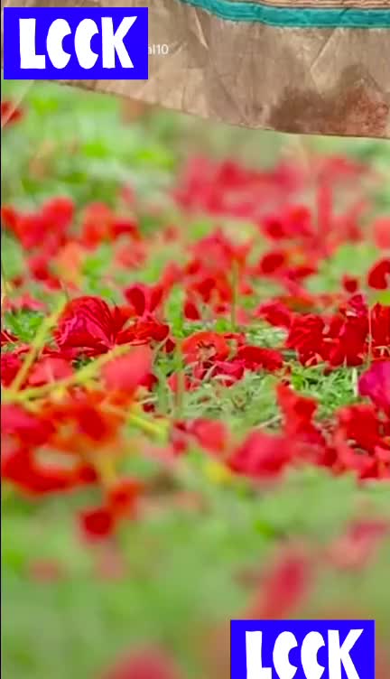 @MUNNA..... 907