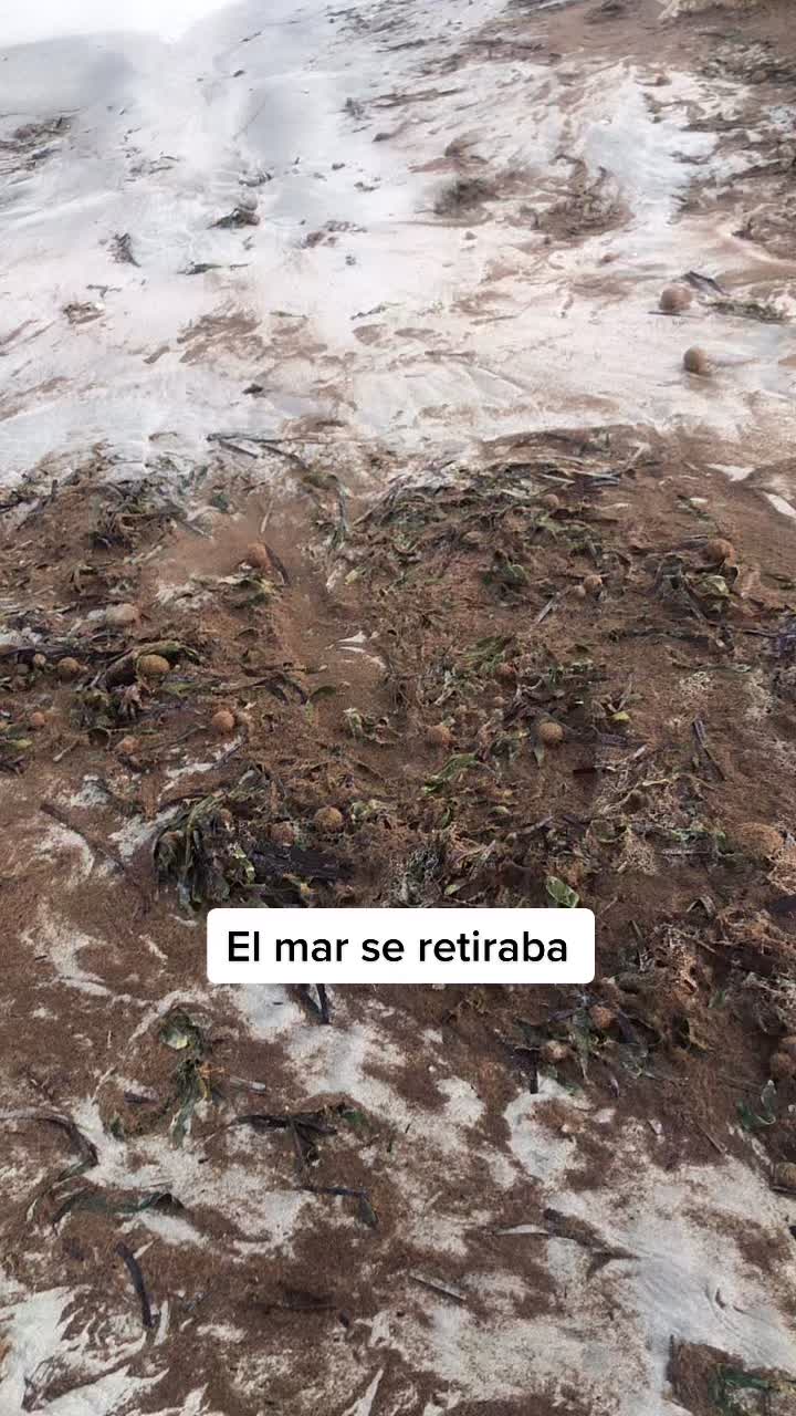 @CURIOSIDADES