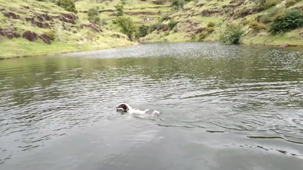 @mauli1991