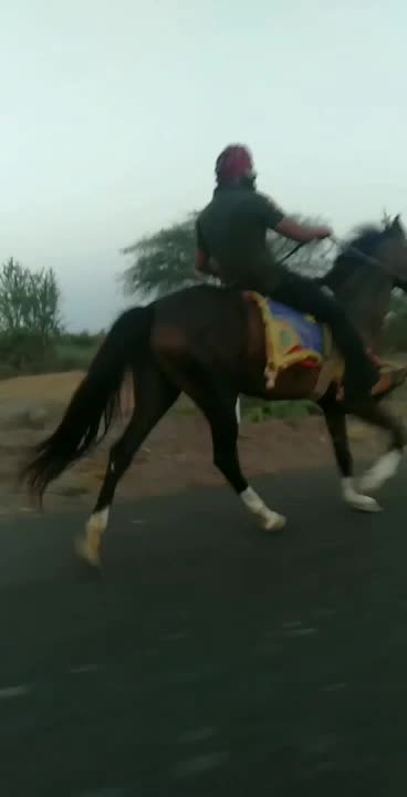 @vishvajit_sinh_9