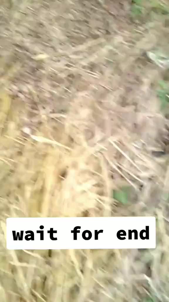 @Lòvèly Àdàrsh