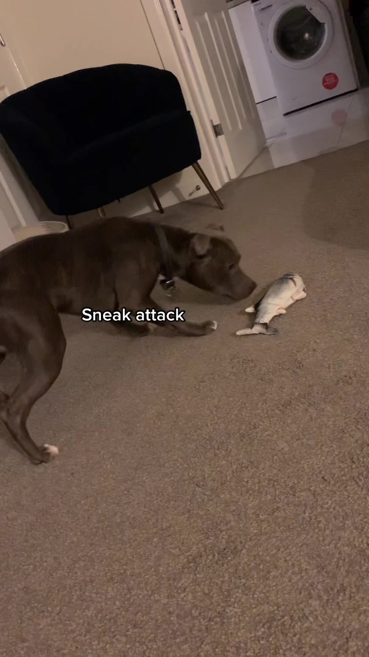 @Emily
