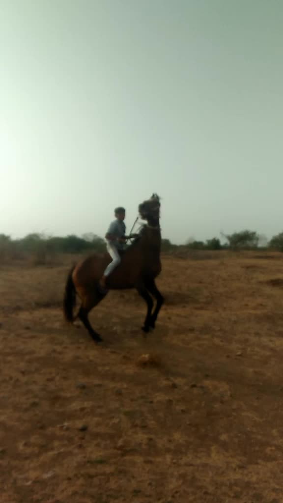 @👑 sujal Bharvad 👑