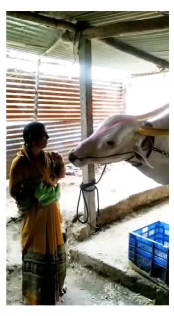 @vikram kenjale vk