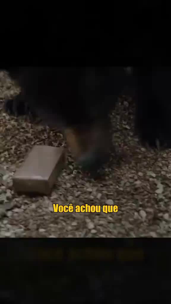 @riki kacie