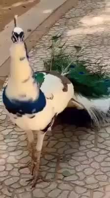 @user2626869241709
