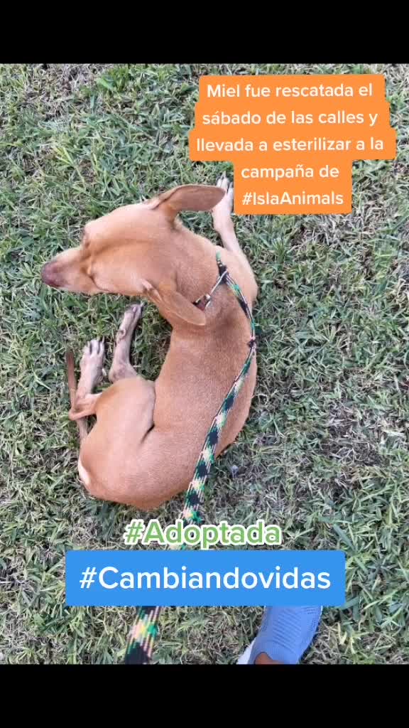 @CasaSAJ