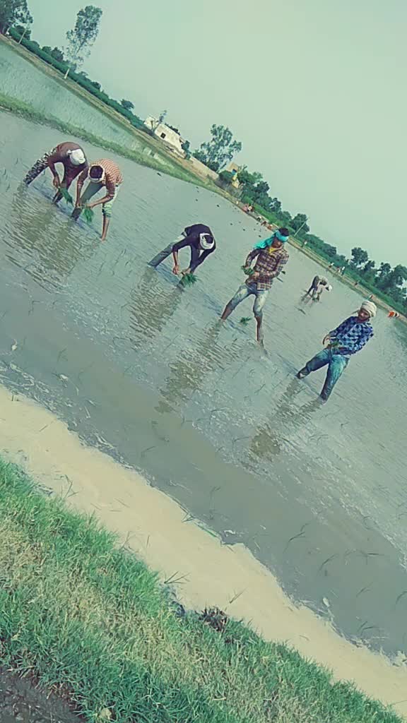 @Vinod Devatiya Vard