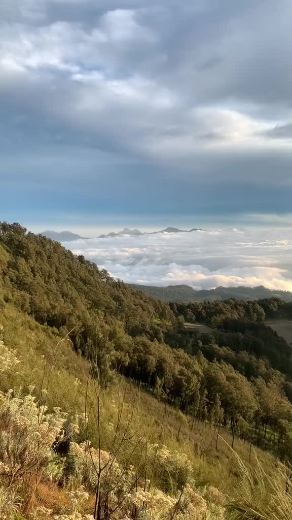@BangBewok