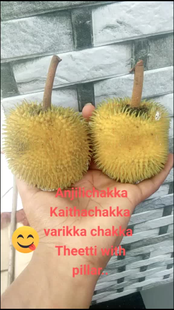 @sachu.....