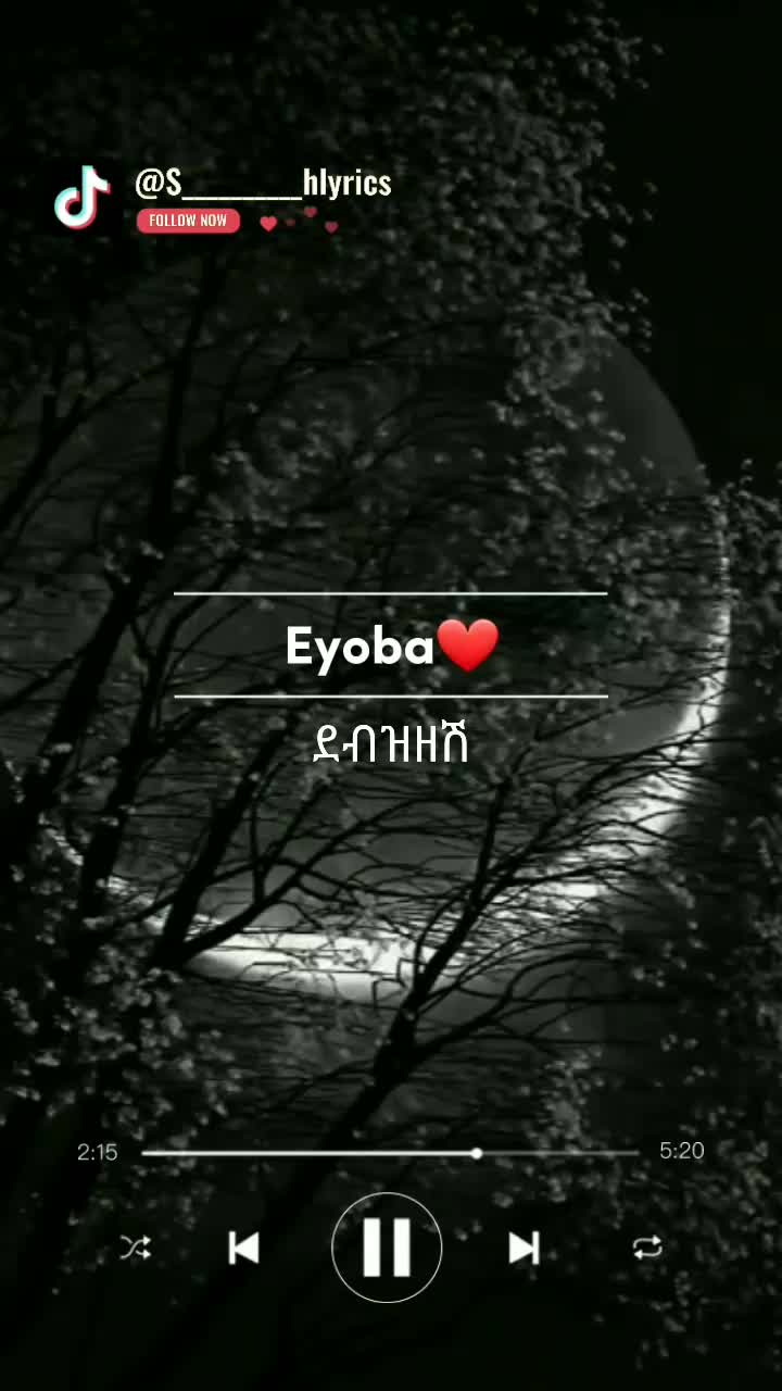 @s_________h(lyrics)