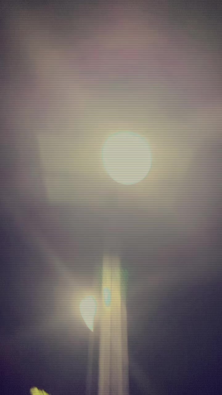 @꧁🍁&bull;AM࿔ྀ🍁᭄꧂
