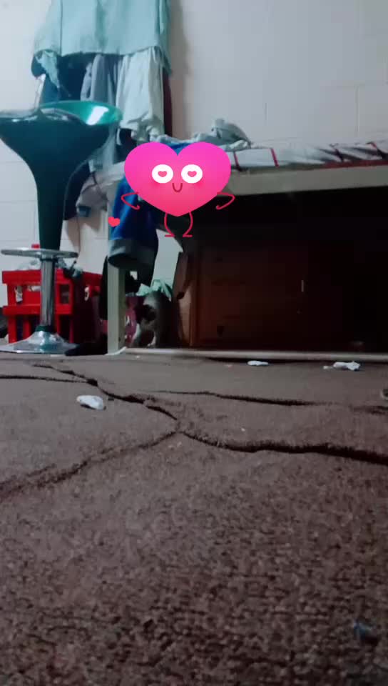 @Badarul Kamal