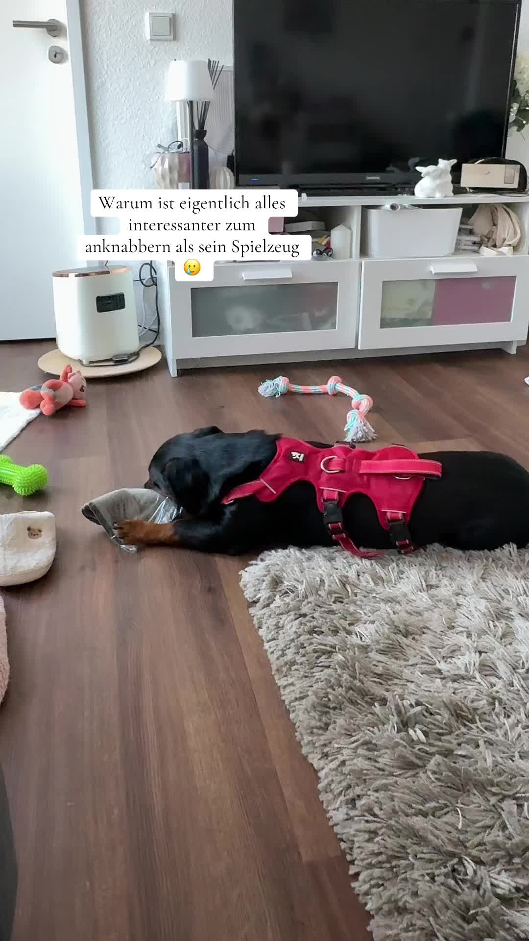 @Jessica🧸