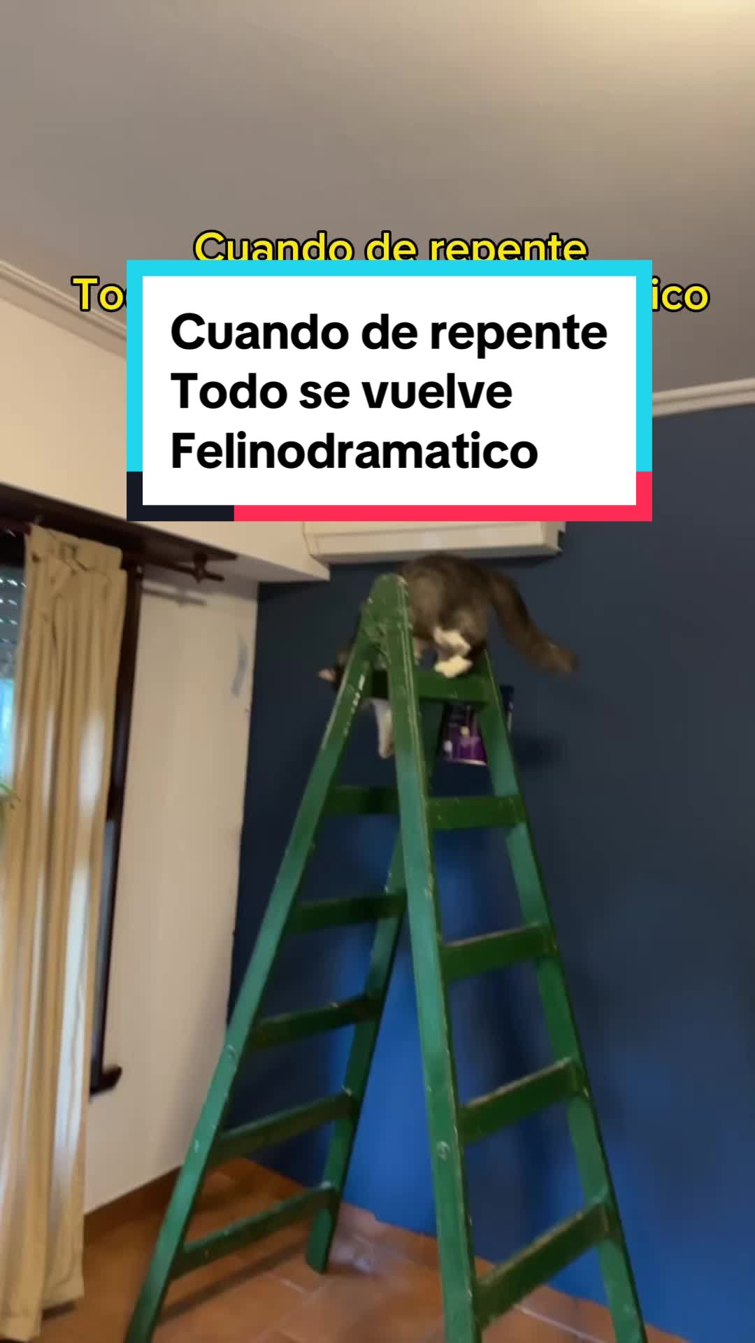 @Pablo Viti