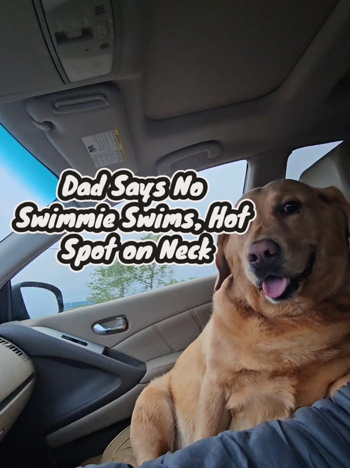 @Dogmom