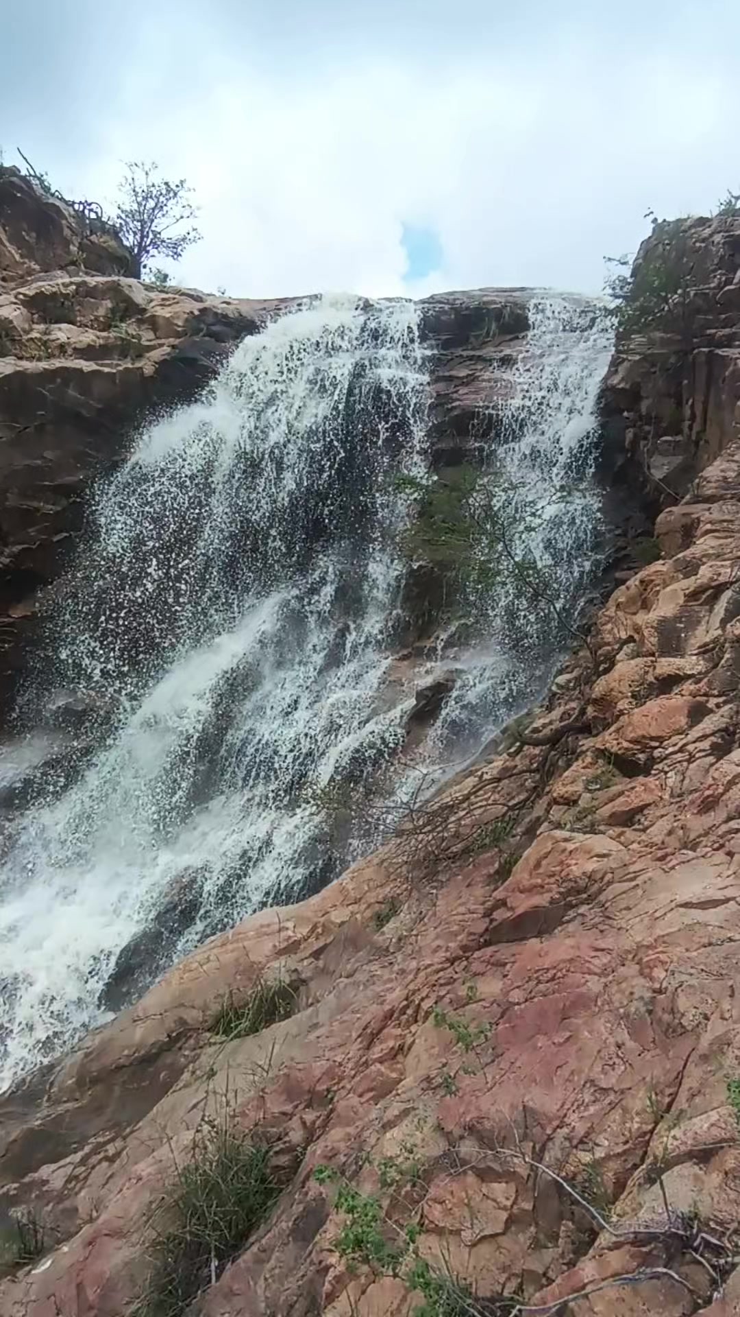@NordesteCapturado