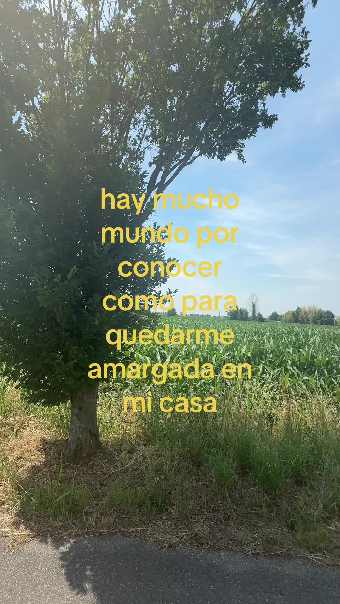 @cielo.cuellar