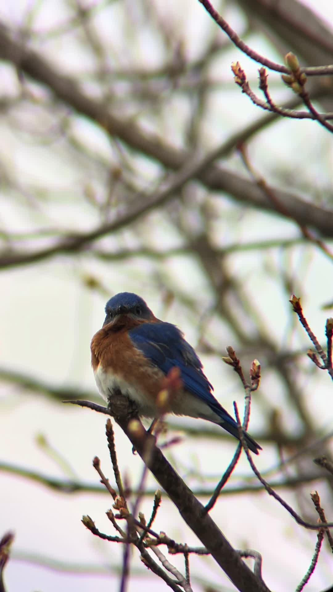 @Something in the Wild