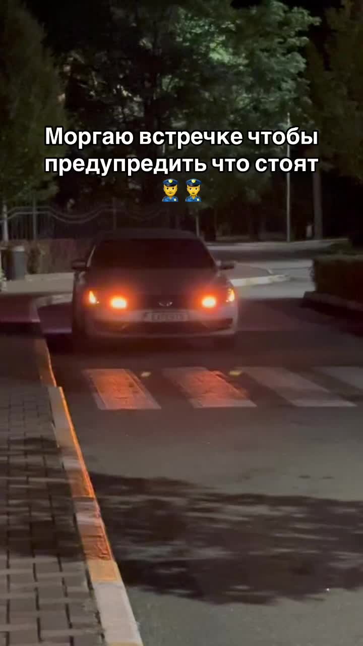 @_expert_5_