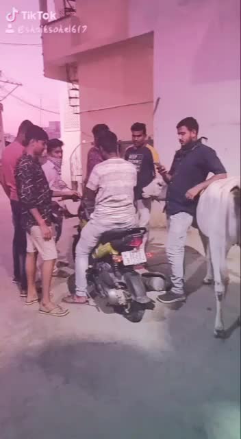 @Nandu Nandu63