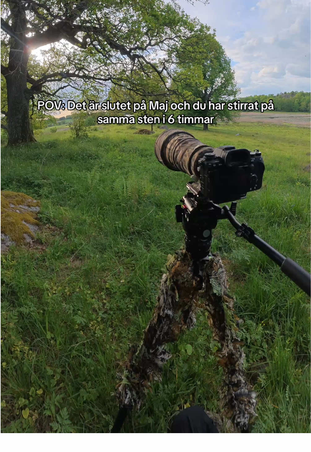@Olle Nilsson