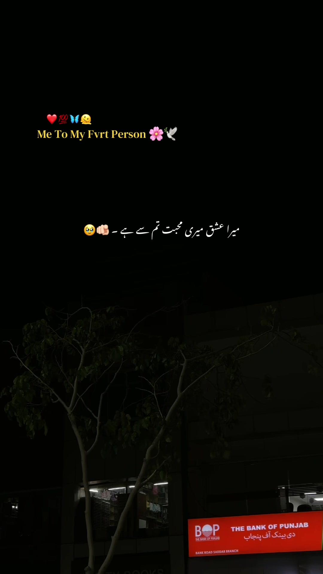 @𝘼𝙨𝙝𝙠-𝙚-𝘿𝙞𝙡 ❤️🩹🥀