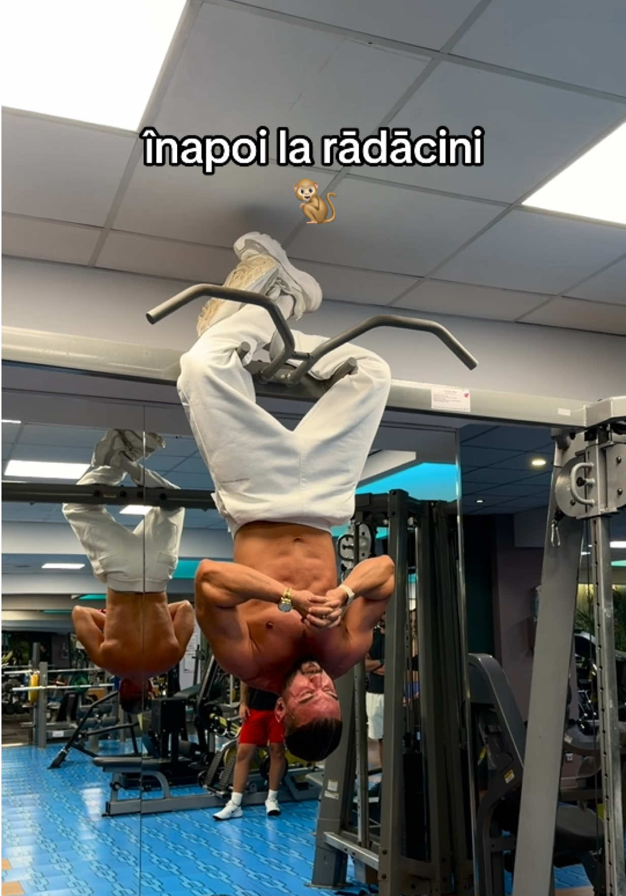 @dorianpopa