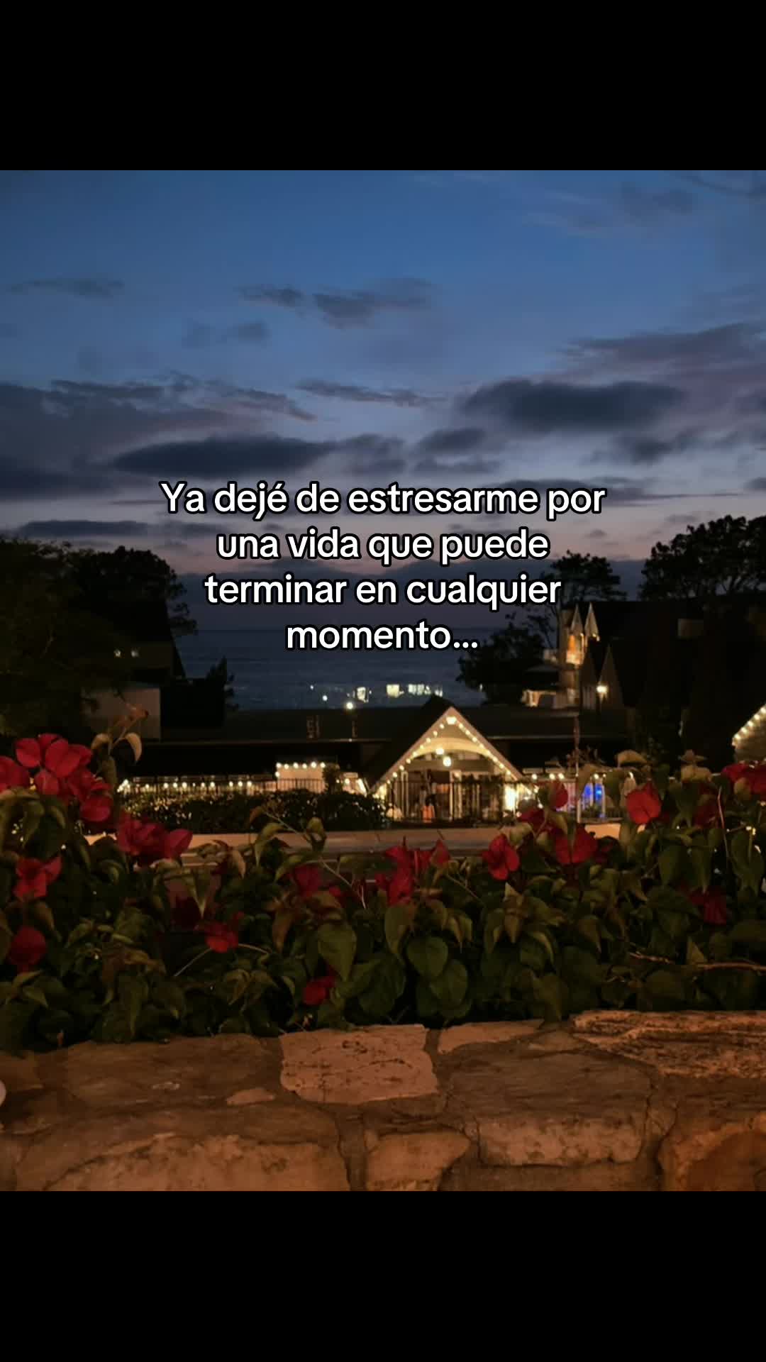 @oscar_sxt