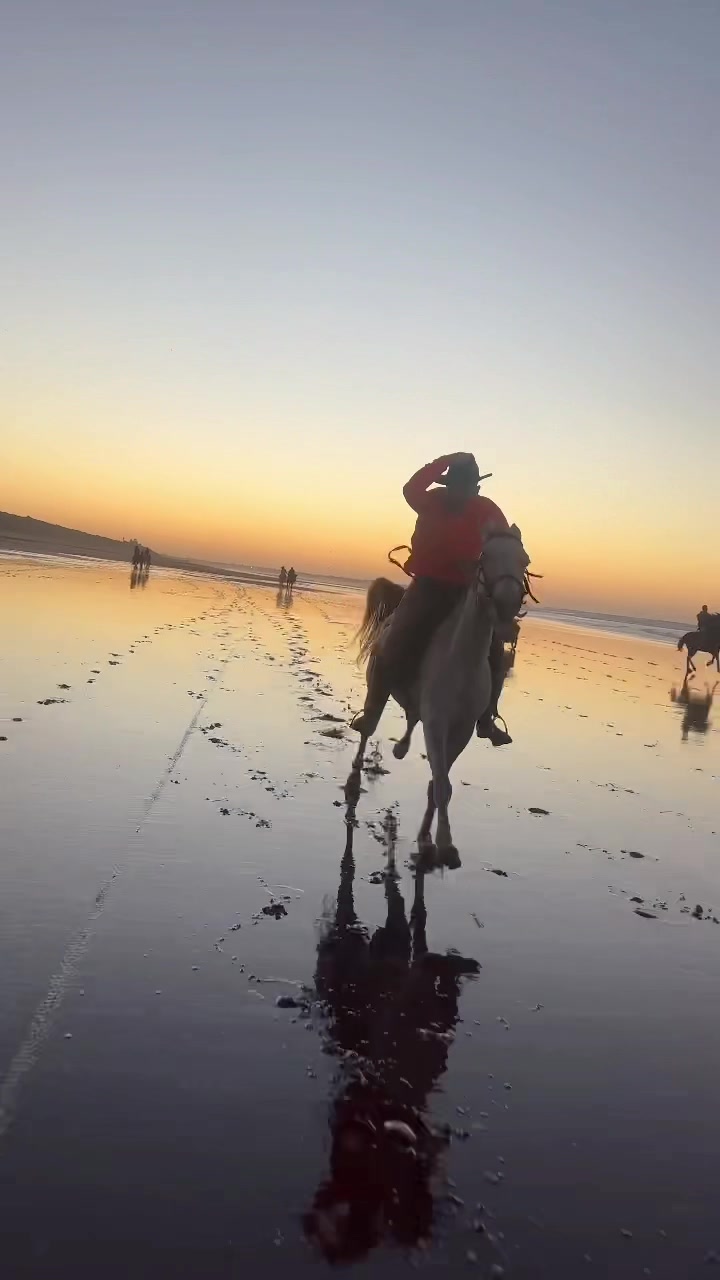 @Cavalier.mouhcine01