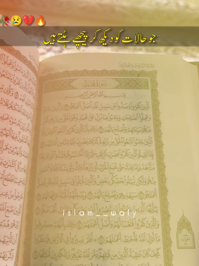 @Islam Waly