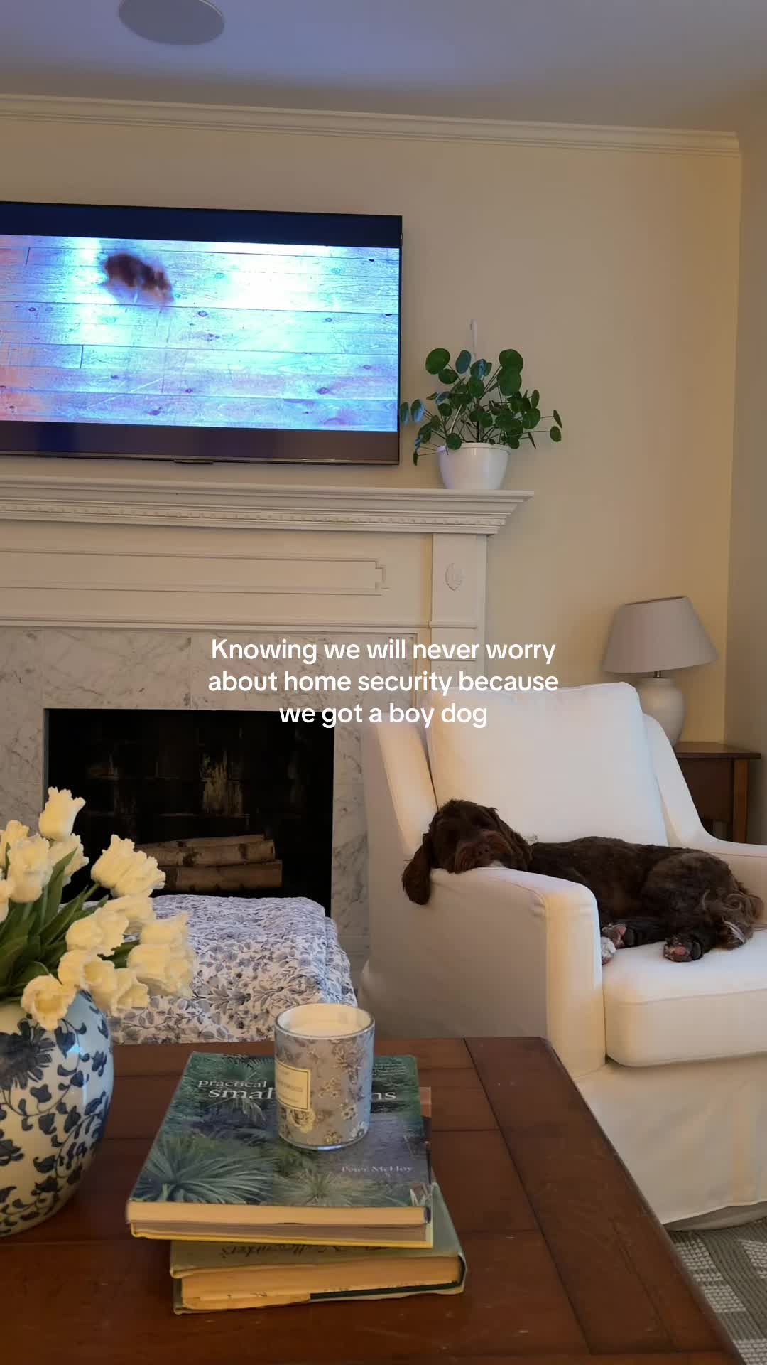 @haley.mccartney