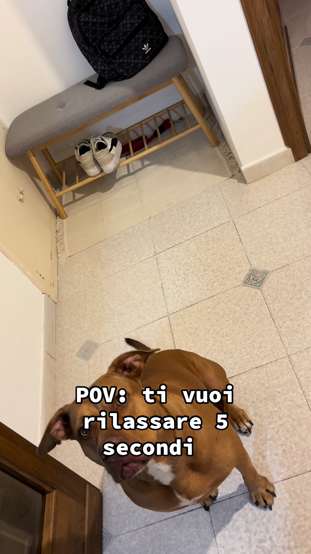 @Chiara Patanè