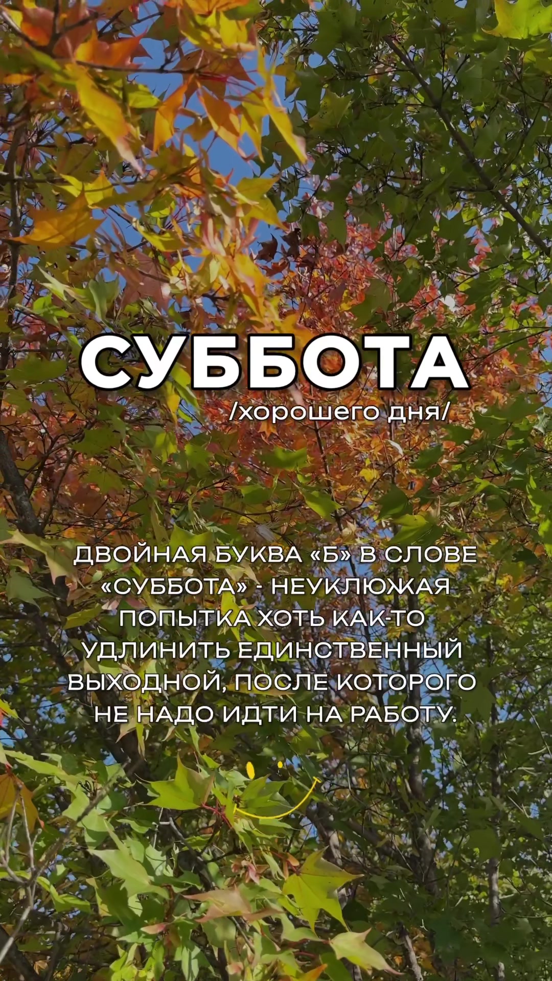 @Vera