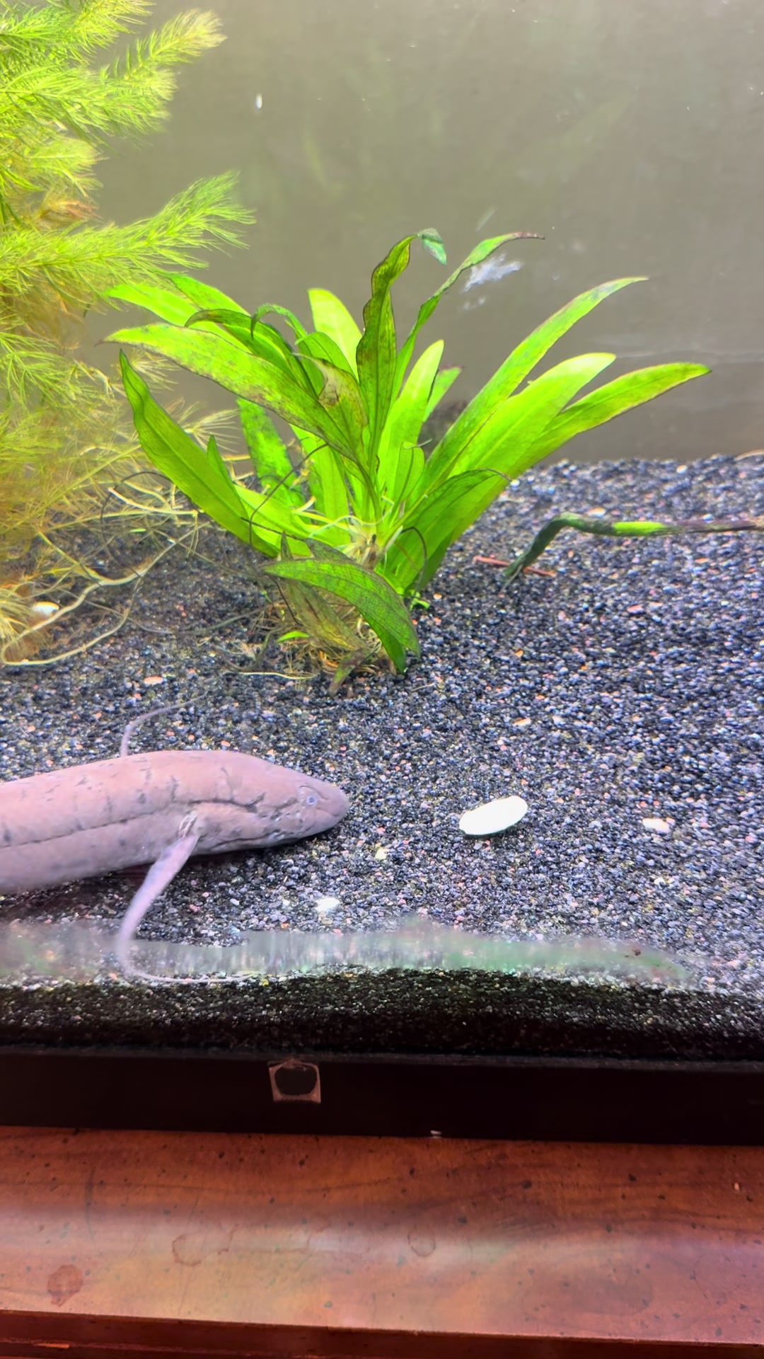 @fishdaddy2002