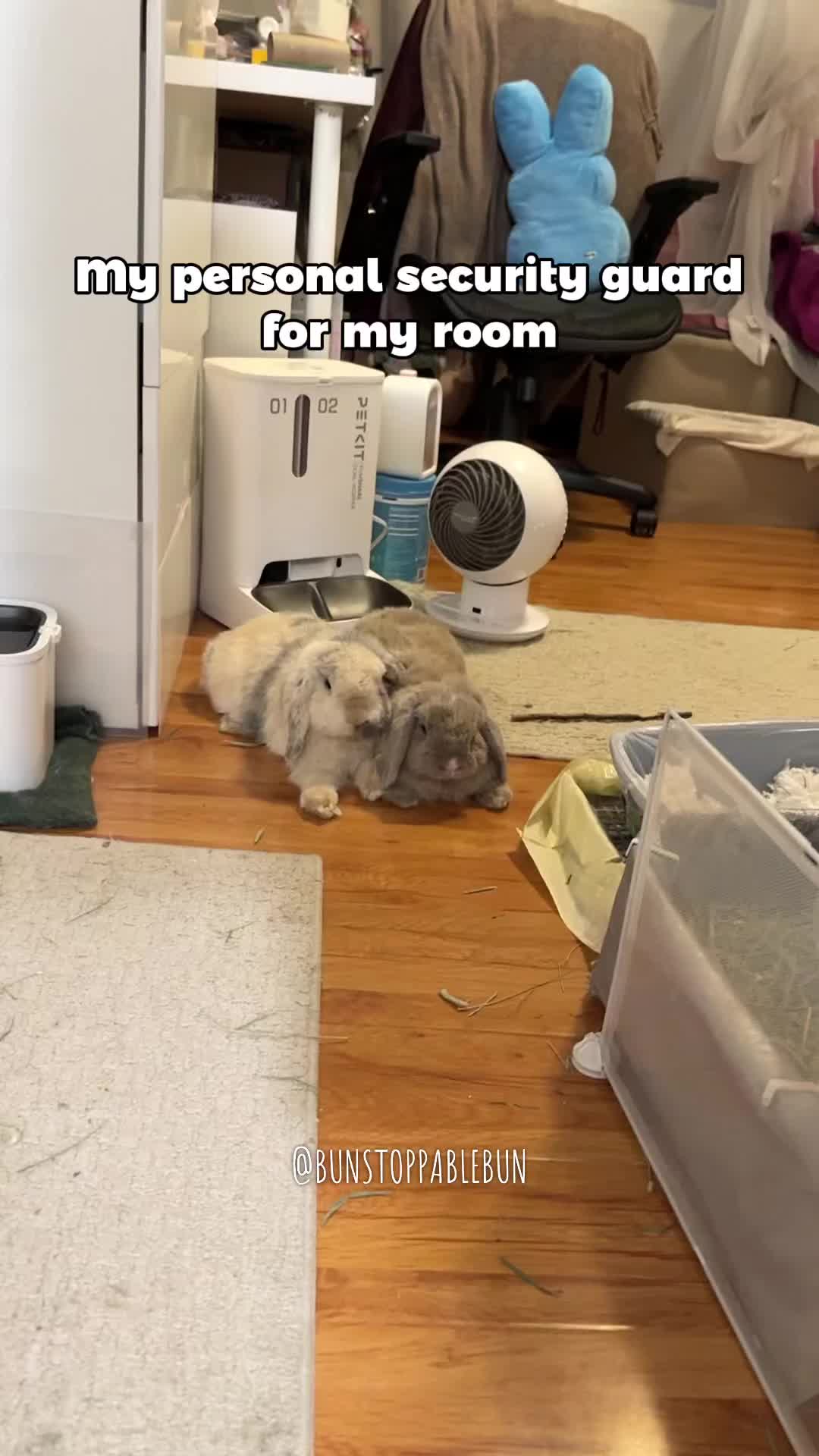 @BunBun, Mochi🌈, Chewy