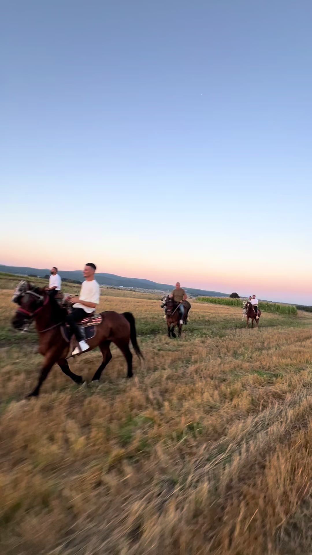 @BERTI RANCH 🐎