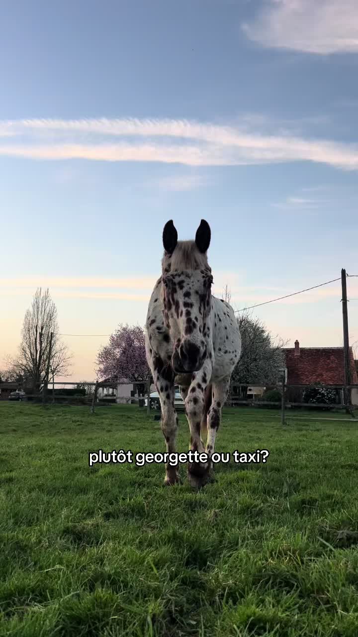 @léna