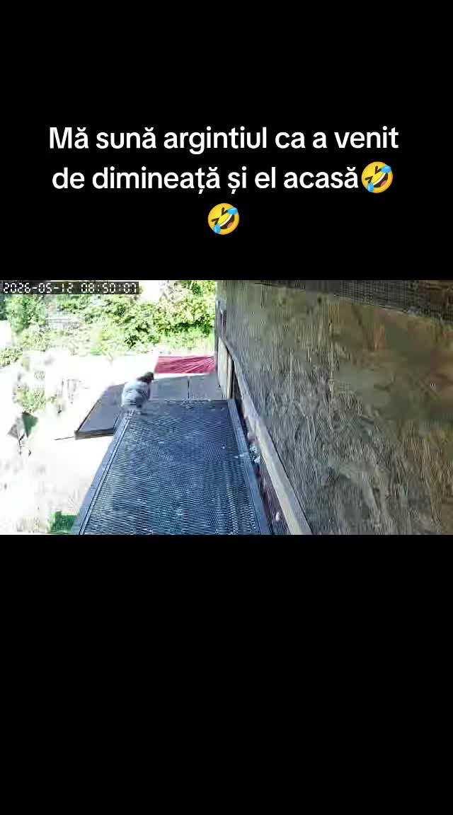 @(Frații Coman)