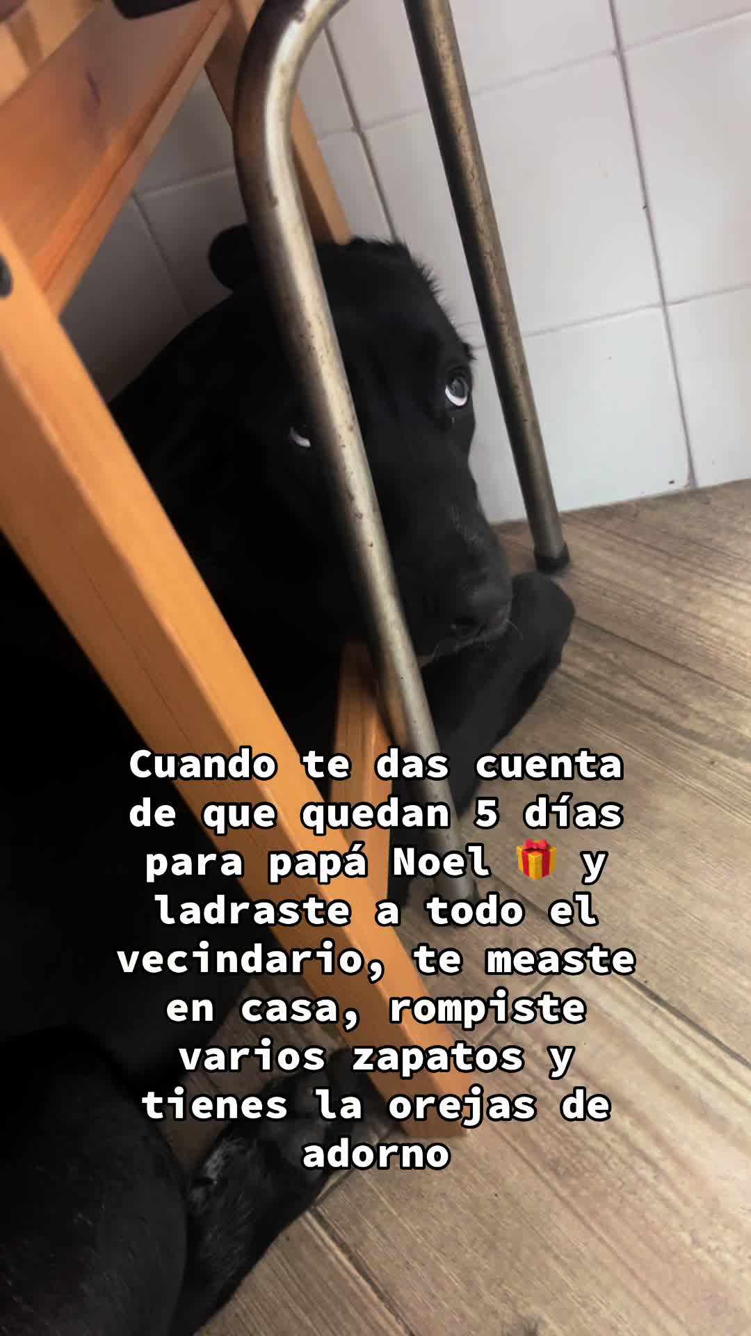 @Carmen Gamella Gómez