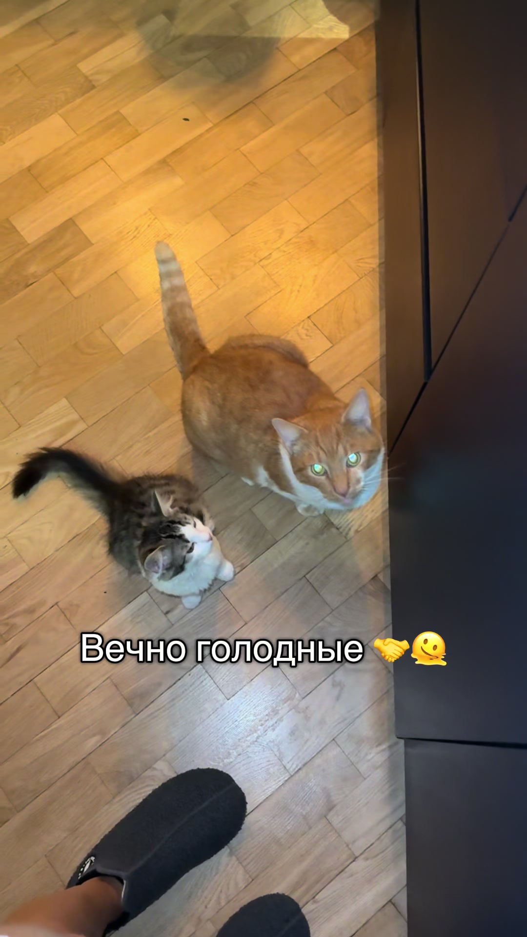 @Nastya 👱🏽♀️