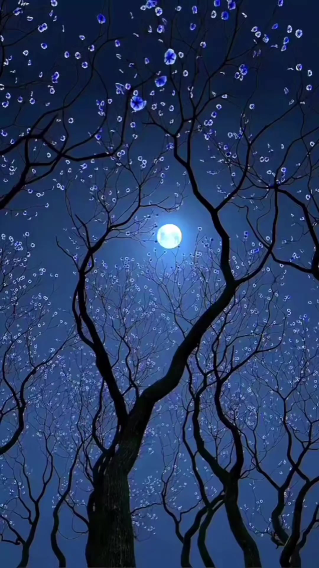 @🌙 🌺